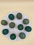 Cactus Mini