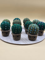 Cactus Mini